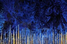 Niños y adultos van a disfrutar: Los mejores panoramas para hacer en Santiago antes de que se termine el año