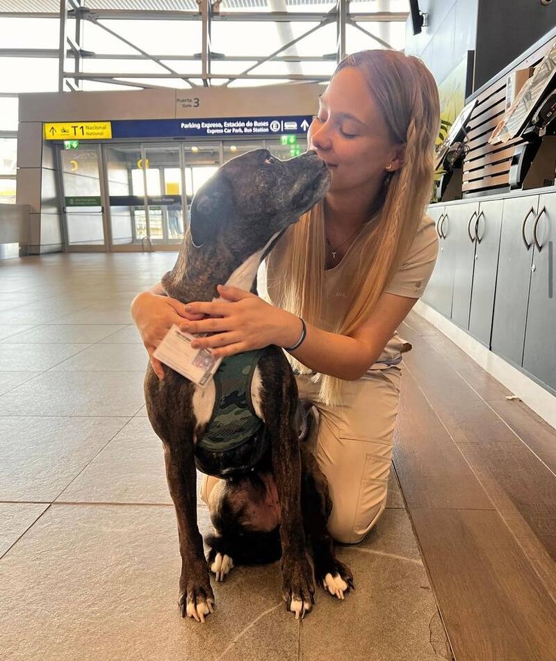 Cass Zamorano es una veterinaria y etóloga. Foto: Instagram.