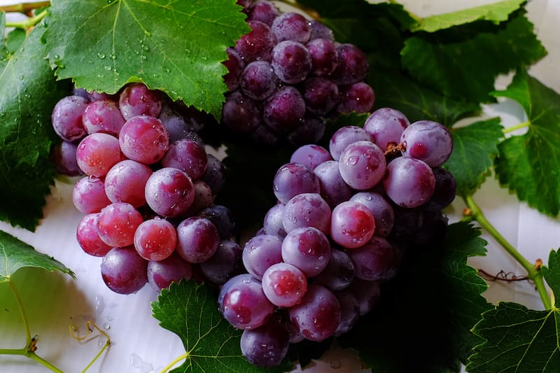 Descubre cuáles son sus beneficios para la salud.