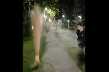 VIDEO | Jóvenes se grabaron destruyendo un grifo en Las Condes: Alcaldesa Peñaloza anunció querella