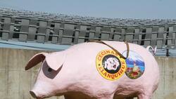 VIDEO | El retorno de un icono: el Chancho Lorenzo ya aterrizó en Puerto Montt