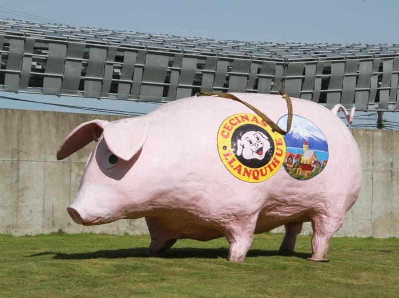 Chancho Lorenzo será un nuevo atractivo turístico.