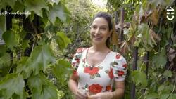 “Aquí es una selva”: Daniela Palavecino mostró su casa en Chile inspira en un jardín botánico