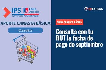 Bono Canasta Básica: Consulta con tu RUT si eres beneficiaria y cuál es tu fecha de pago en septiembre