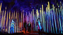 Vuelve Light Cycles a Santiago: precios, horarios y descuentos para este imperdible festival de luces