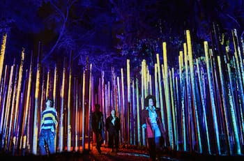Vuelve Light Cycles a Santiago: precios, horarios y descuentos para este imperdible festival de luces