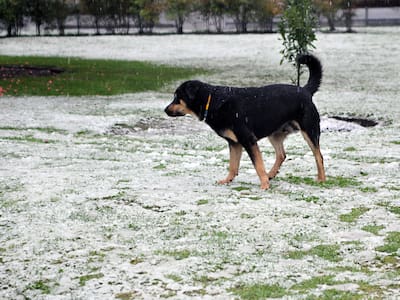 DMC declara alerta por viento blanco de hasta 110 km/h y nevadas en al menos tres regiones del norte de Chile