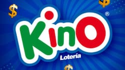 Resultados del Kino sorteo 3195: ¡Una persona ganó bono de $20.000.000!