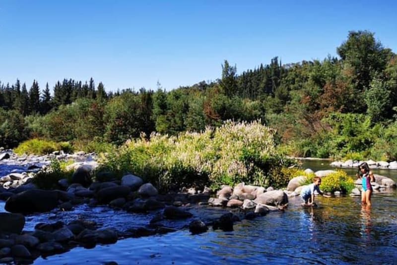 Conoce todo sobre este camping bellísimo y económico.