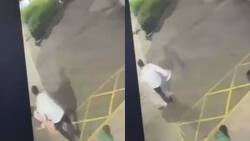 VIDEOS | Tenía antecedentes por abuso: Detienen a sujeto que realizó feroz golpiza con piedras a expareja en Las Condes