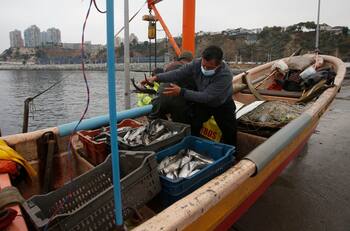Paro pescadores: estos son los motivos de sus manifestaciones