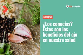 ¿Los conocías?: Estos son los increíbles beneficios que tiene el ajo en nuestra salud