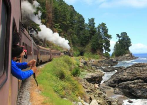 ofrece cupón de descuento para sus afiliados.
