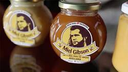 Miel Gibson provoca ola de reacciones por tuiteo sobre los destrozos en Barrio Lastarria