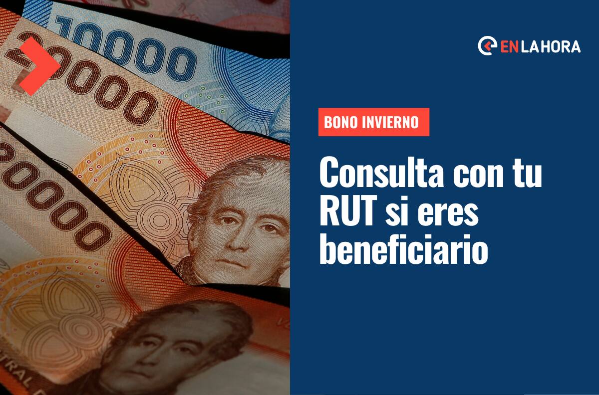 Bono Invierno: Consulta con tu RUT si perteneces al primer o segundo grupo de beneficiarios