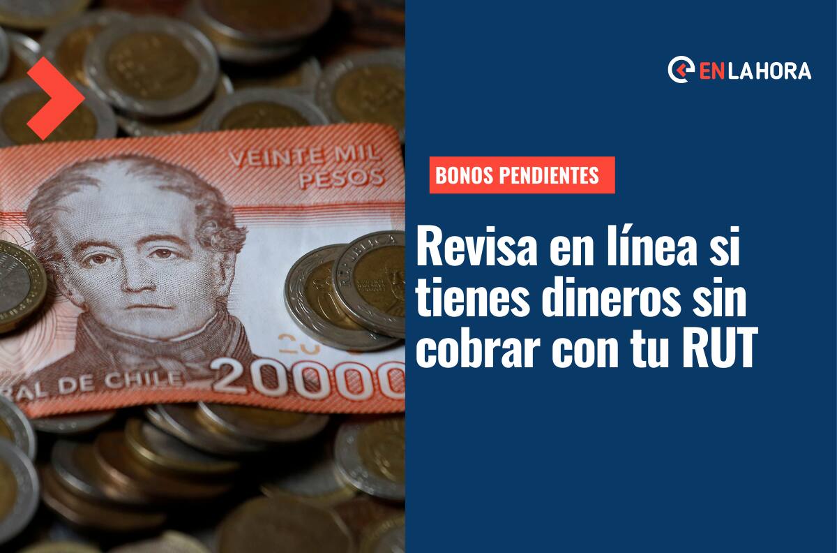 Bonos Pendientes: ¿Sabes si tienes beneficios sin cobrar? Verifica solo con tu RUT