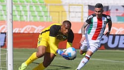 Mientras Beccacece lo quiere para el Mundial, piden el regreso de Omar Carabalí a Colo Colo: “Se nota más maduro”