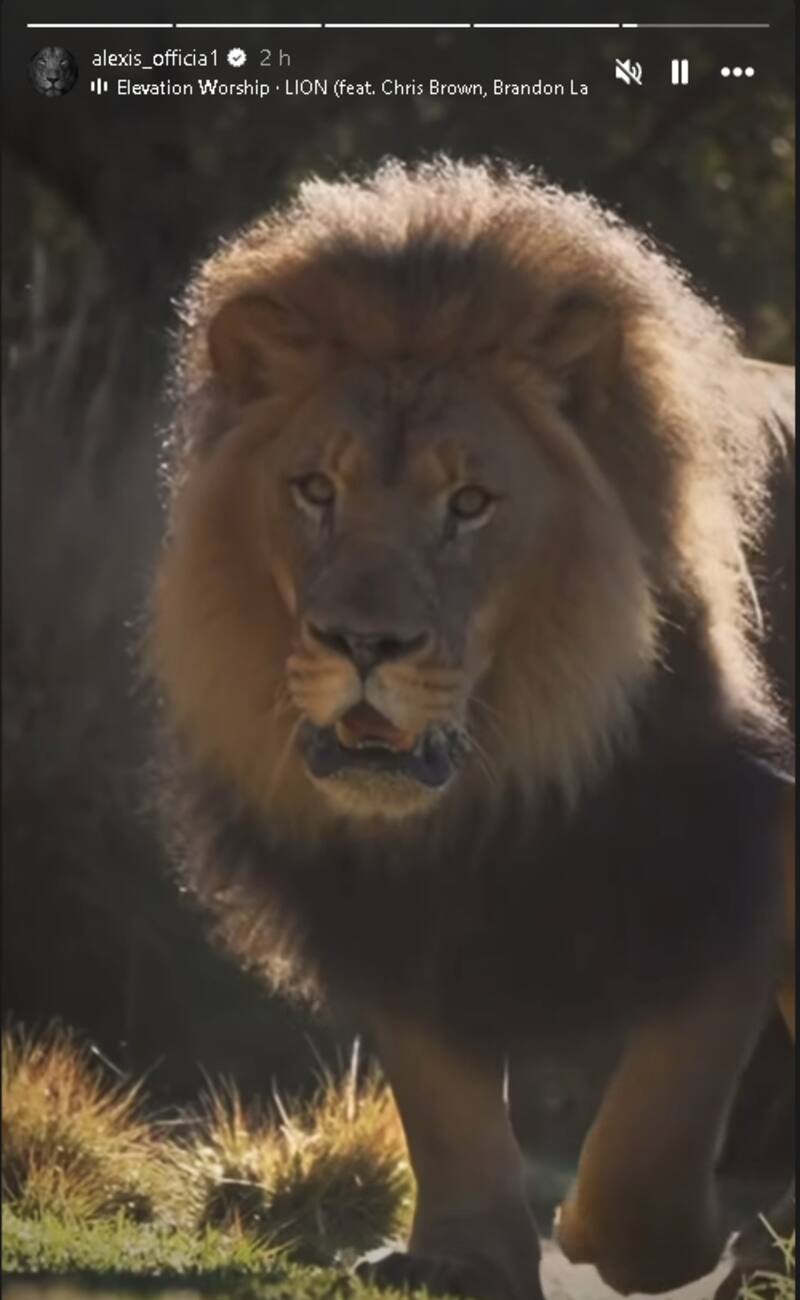 El Maravilla compartió esta imagen en sus historias de Instagram.