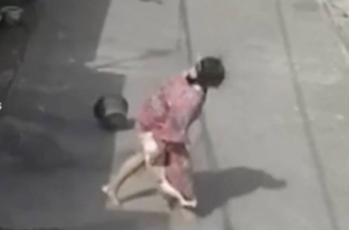 VIDEO | Gato logra vengarse de mujer tras sufrir agresión y se hace viral en redes