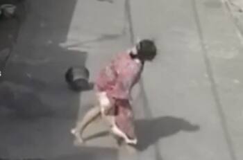 VIDEO | Gato logra vengarse de mujer tras sufrir agresión y se hace viral en redes