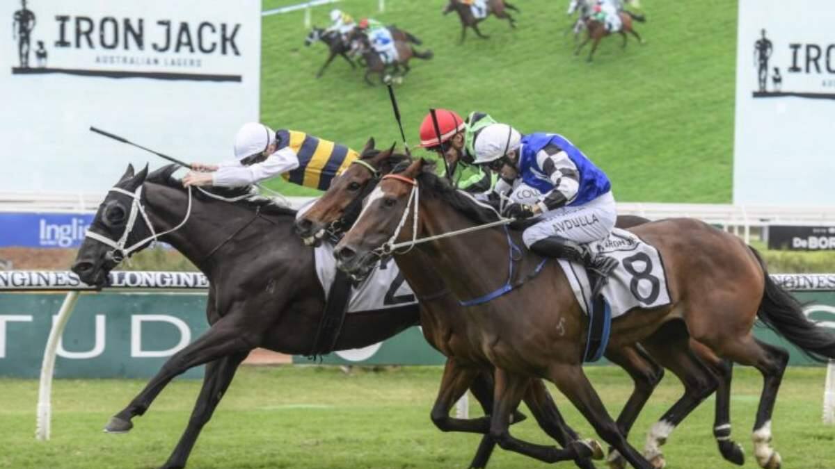 Sigue la hípica en Australia: Las carreras destacadas para estar atentos en cuarentena