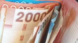 Bolsillo Familiar Electrónico: Consulta con tu RUT si recibes el pago de $13.500