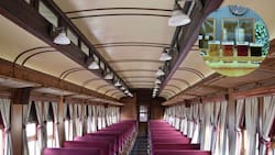 Tren del Recuerdo invita a la Ruta Cervecera de Limache: fecha, itinerario y precio de los boletos