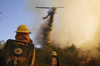 Ola de calor extremo: autoridades combaten SIETE incendios forestales este sábado