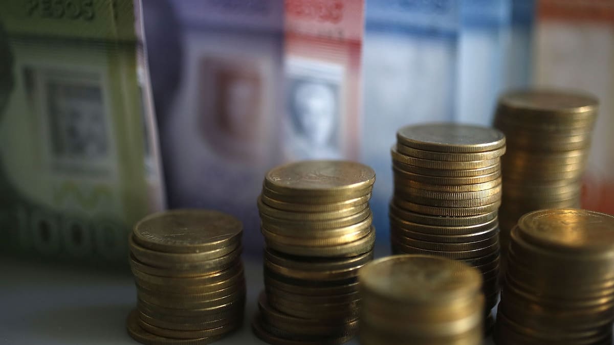 Bono Protección: cuáles son los montos y cuáles son los requisitos para acceder al beneficio
