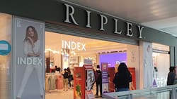 Ripley busca trabajadores: Hay más de 50 ofertas laborales disponibles en todo Chile