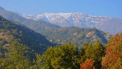 Parque Nacional Río Clarillo en otoño: el único parque nacional de la RM con bosque que cambia de color