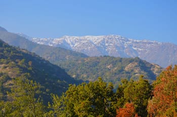 Parque Nacional Río Clarillo en otoño: el único parque nacional de la RM con bosque que cambia de color