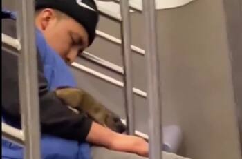 VIDEO | Rata subió por el cuerpo de una persona que dormía en el Metro de Nueva York