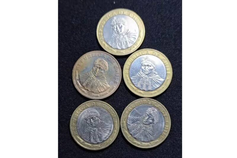 Estos ejemplares tienen particularidades que las hacen únicas.
Créditos: Captura de Instagram.