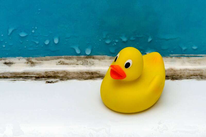 Conoce cuáles son las recomendaciones.