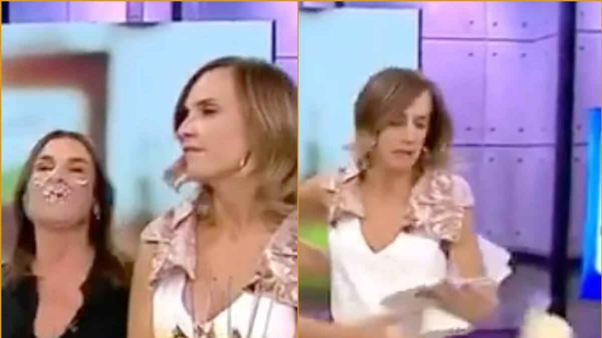 "Algo pasa con mi motricidad fina": Diana Bolocco se excusó ante Paulina de Allende-Salazar tras botar al suelo su torta de cumpleaños