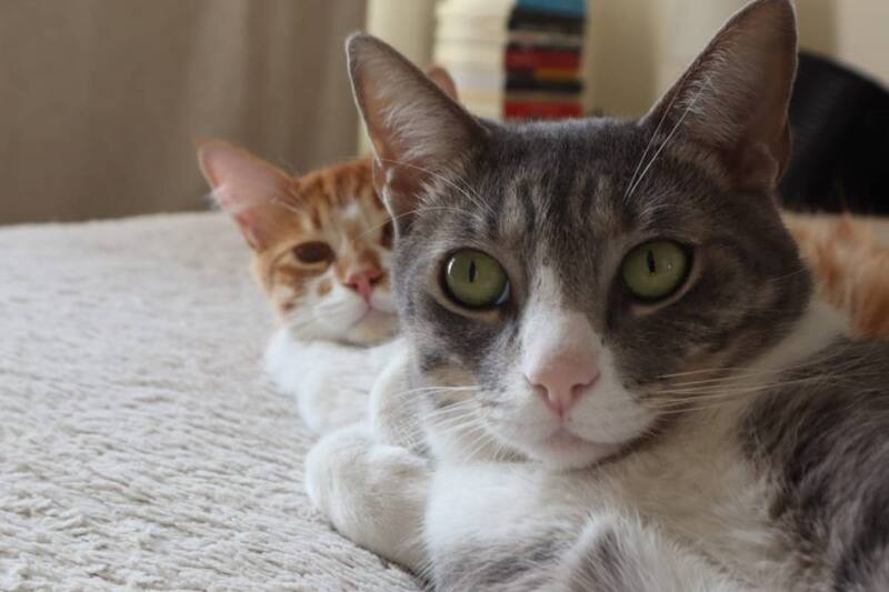 Revisa las distintas ofertas existentes para clientes del Banco de Chile.