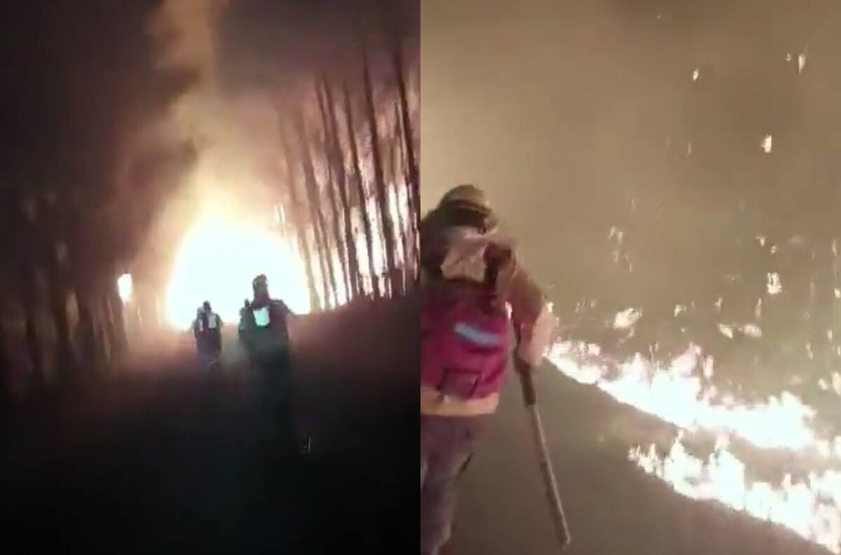 VIDEO | Incendios forestales: Brigadistas de Conaf logran escapar de "túnel" de fuego en Traiguén