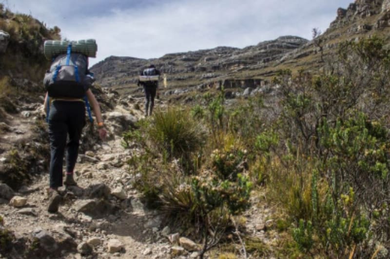 El precio de referencia de la actividad es de $7.000.
Créditos: Freepik.