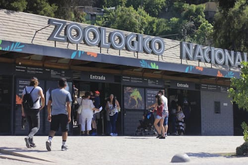 El recinto volvió a abrir sus puertas tras varios meses sin recibir público.