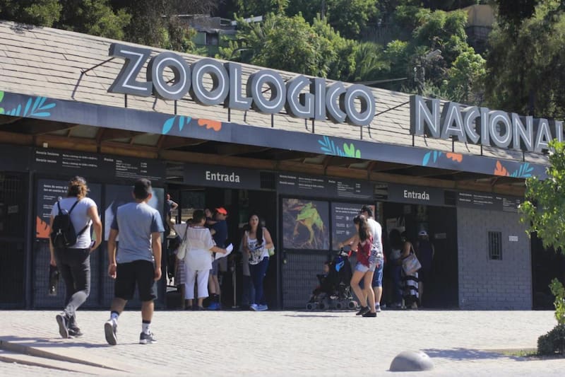 El recinto volvió a abrir sus puertas tras varios meses sin recibir público.