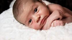 Este es el aporte que recibe la madre y su recién nacido