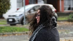 Alejandro Sepúlveda advierte por vientos de hasta 70 km/h en Valparaíso: “Podría romper ramas o provocar cortes en el suministro de energía”