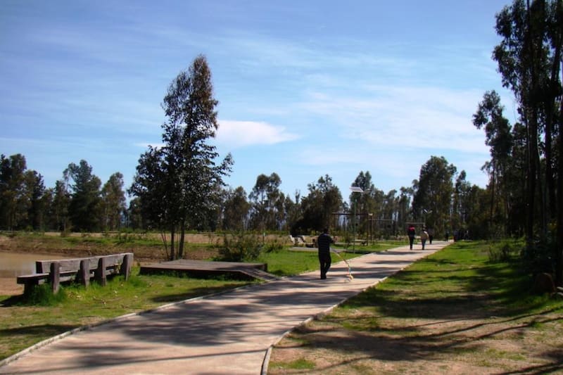 Este recinto natural de Valparaíso se ubica a 90 minutos del centro de Santiago. Foto: Casiopea PUCV.