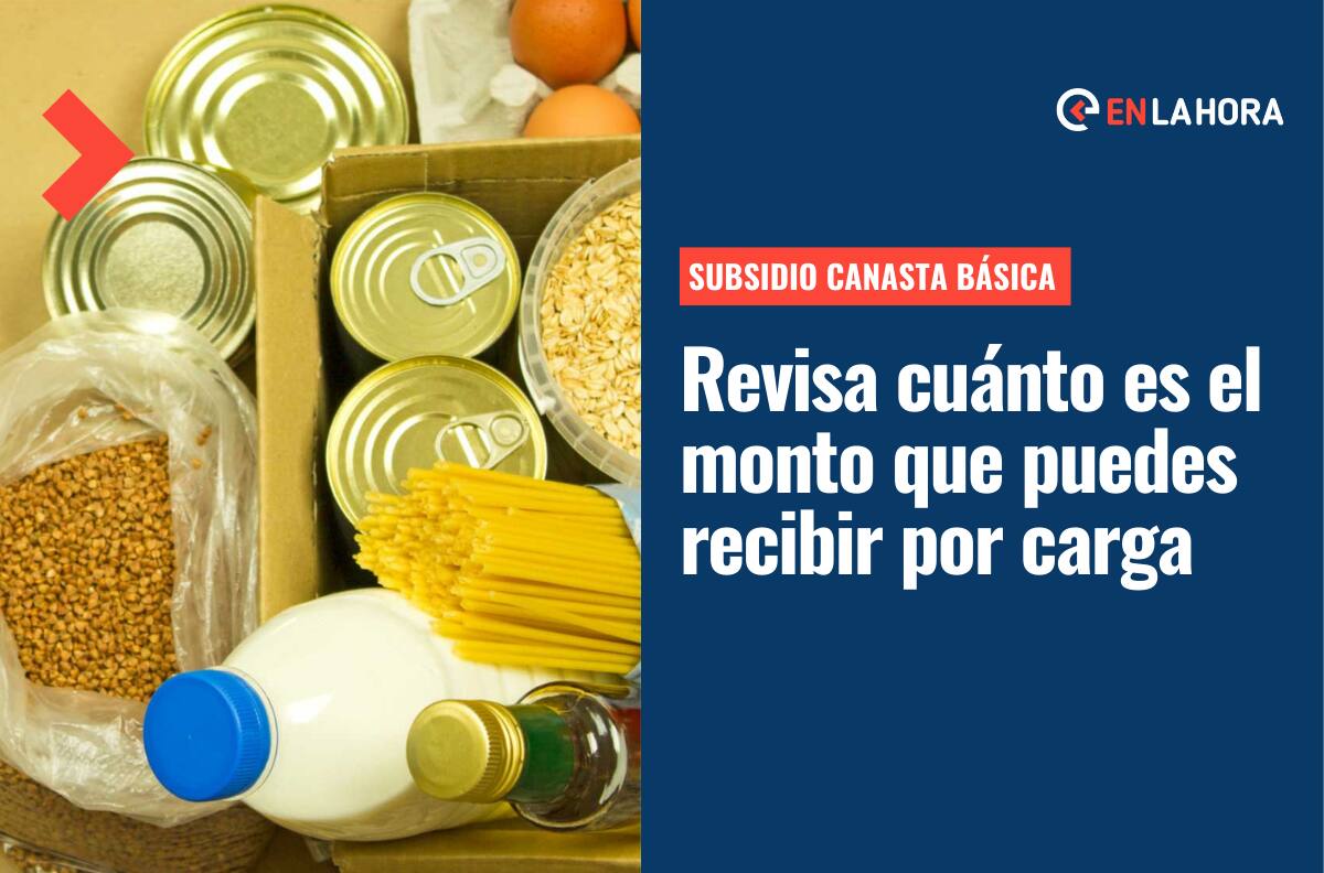 Bono Canasta Básica Familiar: Consulta con tu RUT si te corresponde este beneficio del Estado