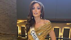 Este fue el destacado y original look de Sofía Depassier para el Miss Universo 2023