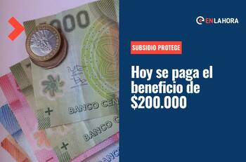 Subsidio Protege se paga hoy: Revisa quiénes lo recibirán y cómo apelar si no te pagan los $200 mil