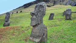 Detectan primer caso de Covid-19 en Rapa Nui luego de una semana de su reapertura al turismo