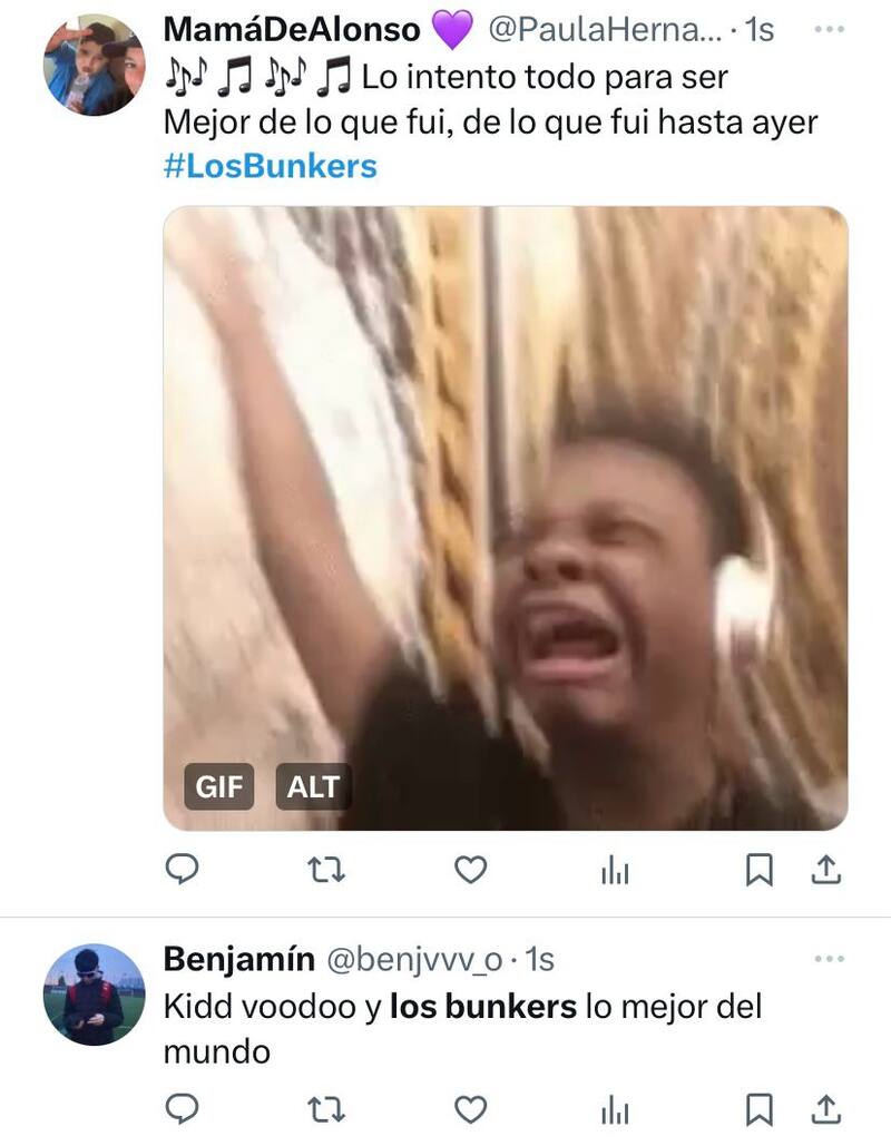Estas son las reacciones de redes sociales a Los Bunkers en el Festival de Viña 2024.