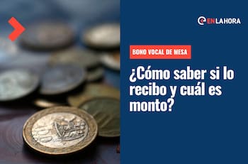 Bono Vocal de Mesa: Consulta con tu RUT si recibes el aporte y el monto de pago
